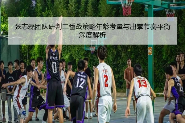 zhang-zhi-lei-tuan-dui-yan-pan-er-fan-zhan-ce-lve-nian-ling-kao-liang-yu-chu-quan-jie-zou-ping-heng-shen-du-jie-xi-2-709.jpg